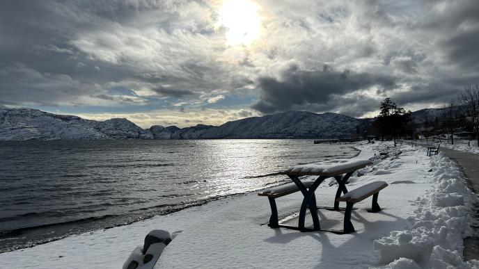 Winter lake centennial walkway