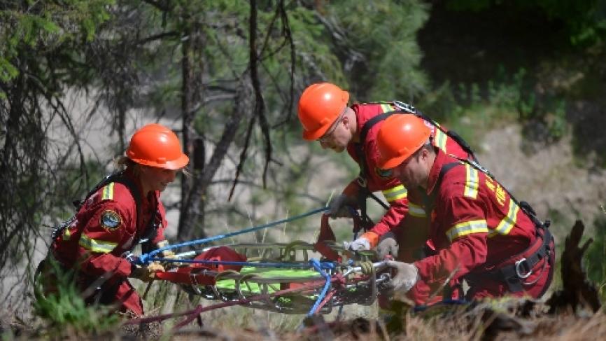 Firefighters putting out fires in the brush.