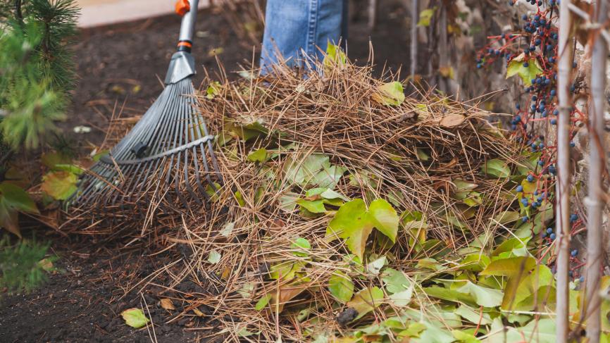 Yard waste raking