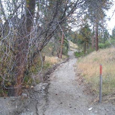 Gravel trail near wooded area.