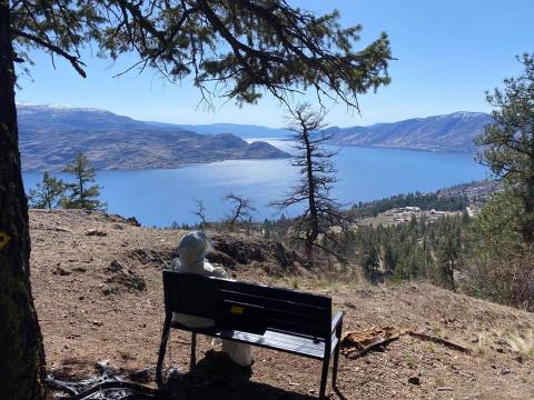 Bench under tree overlooking a large lake.