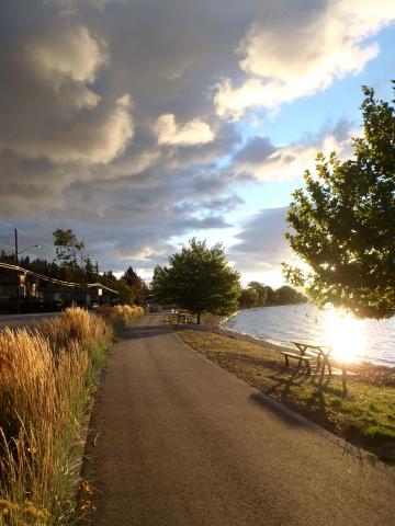 Paved walkway near water. The sun is setting in the background.