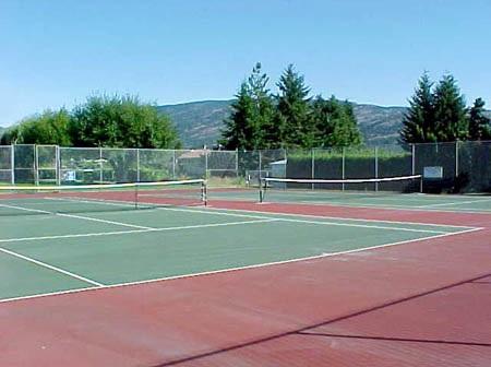 Tennis courts. The courts are divided by chainlink fences.