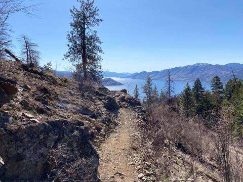 Hiking trail cutting through a mountain.